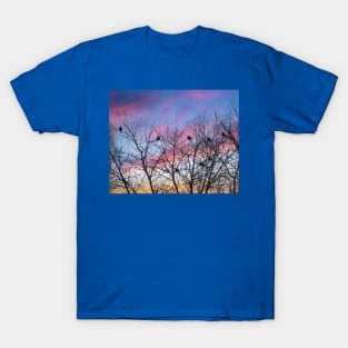 Sunrise with the American Robins by Debra Martz T-Shirt